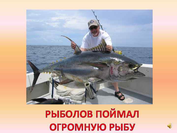 РЫБОЛОВ ПОЙМАЛ ОГРОМНУЮ РЫБУ 