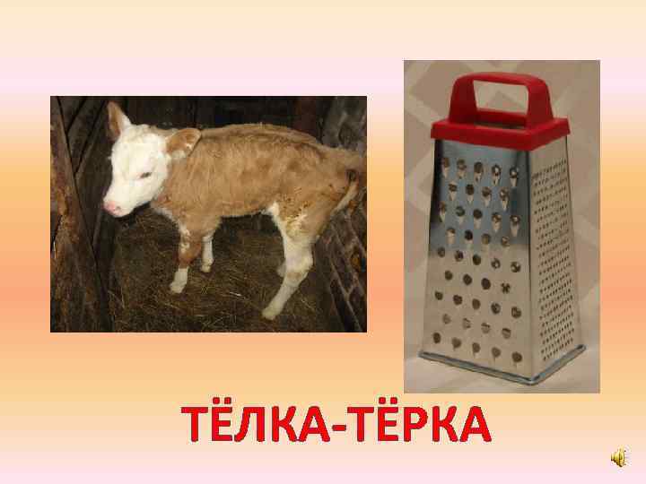 ТЁЛКА-ТЁРКА 