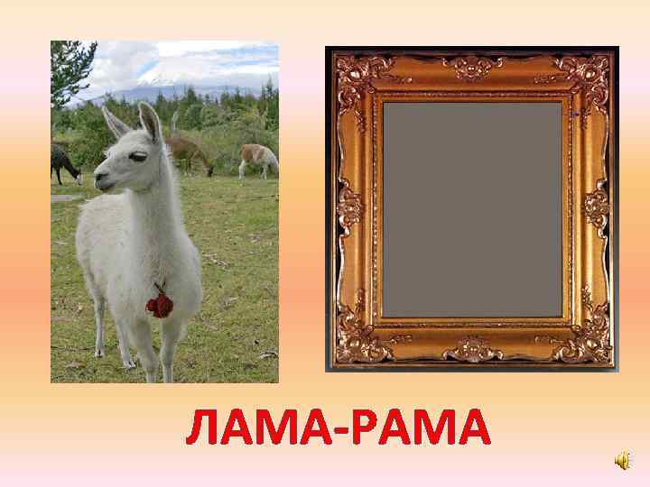 ЛАМА-РАМА 