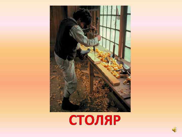 СТОЛЯР 