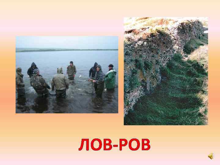 ЛОВ-РОВ 