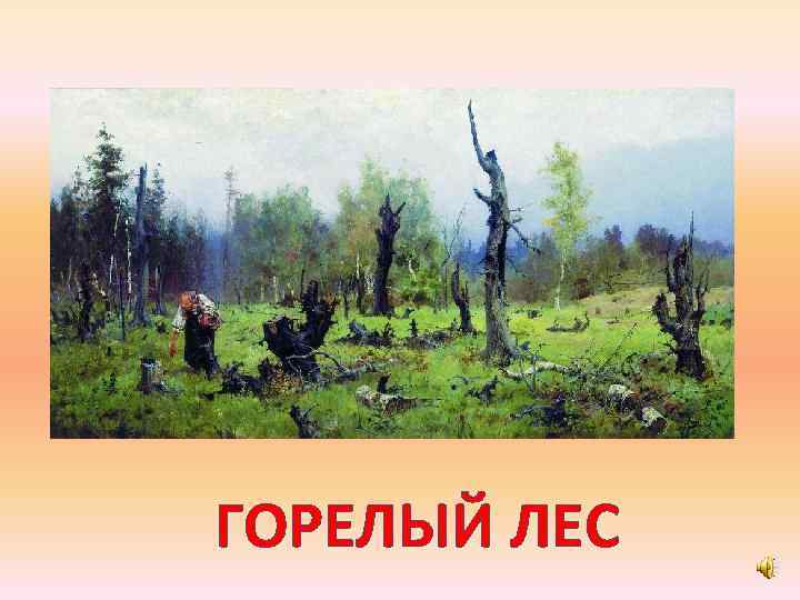 ГОРЕЛЫЙ ЛЕС 