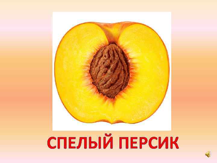 СПЕЛЫЙ ПЕРСИК 