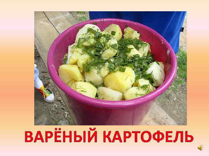 ВАРЁНЫЙ КАРТОФЕЛЬ 