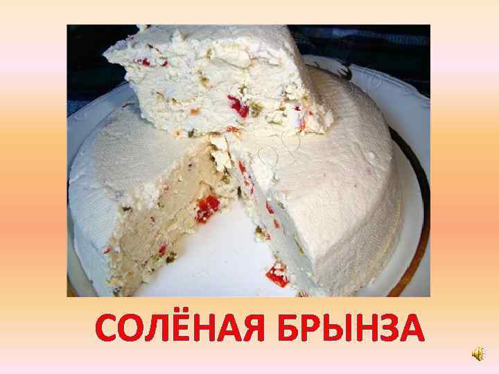 СОЛЁНАЯ БРЫНЗА 