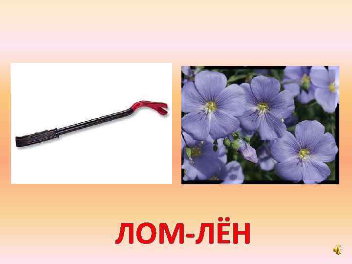 ЛОМ-ЛЁН 