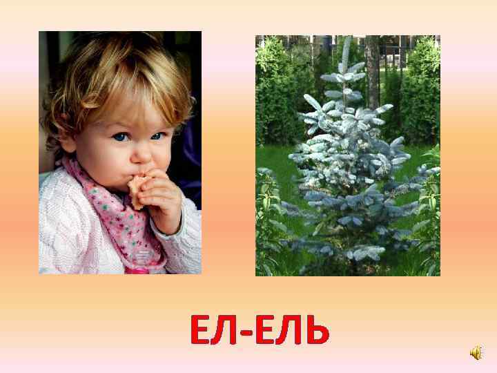 ЕЛ-ЕЛЬ 