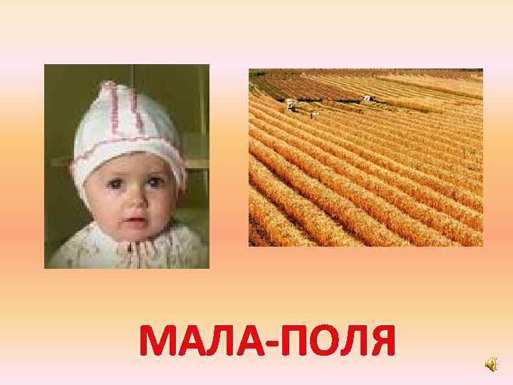 МАЛА-ПОЛЯ 