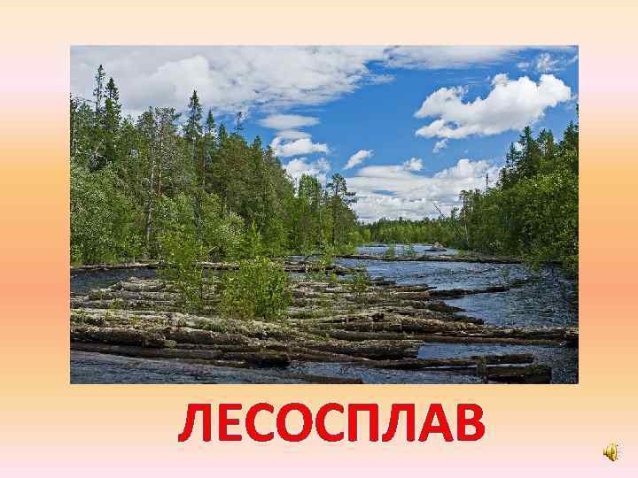 ЛЕСОСПЛАВ 