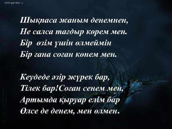 Шықпаса жаным денемнен, Не салса тағдыр көрем мен. Бір өзім үшін өлмеймін Бір ғана