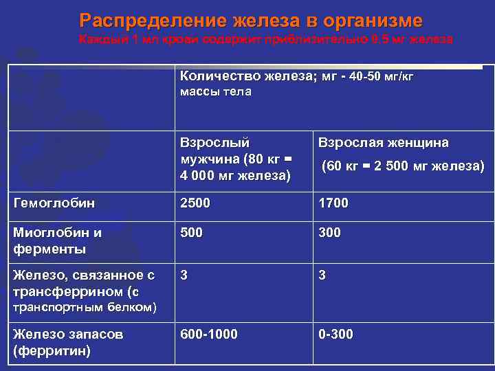 Распределение железа в организме Каждый 1 мл крови содержит приблизительно 0, 5 мг железа