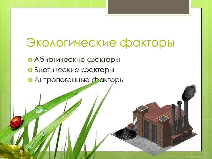 Экологические факторы Абиотические факторы Биотические факторы Антропогенные факторы 