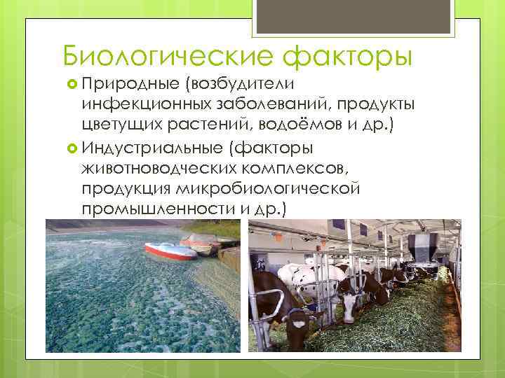 Биологические факторы Природные (возбудители инфекционных заболеваний, продукты цветущих растений, водоёмов и др. ) Индустриальные