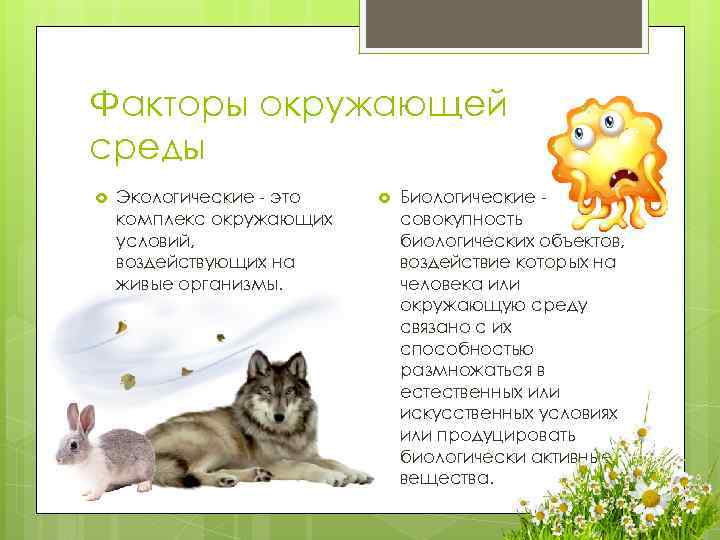 Факторы окружающей среды Экологические - это комплекс окружающих условий, воздействующих на живые организмы. Биологические