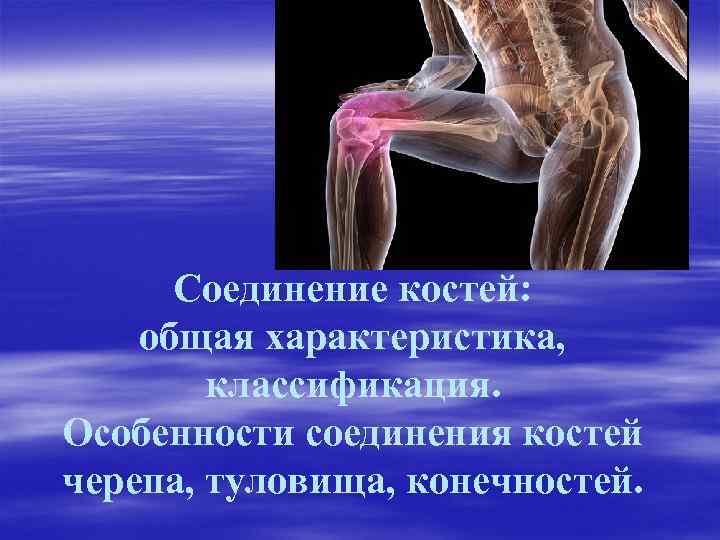 Соединение костей: общая характеристика, классификация. Особенности соединения костей черепа, туловища, конечностей. 
