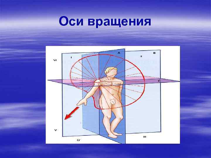 Оси вращения 