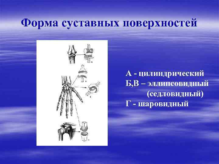 Форма суставных поверхностей А - цилиндрический Б, В – эллипсовидный (седловидный) Г - шаровидный