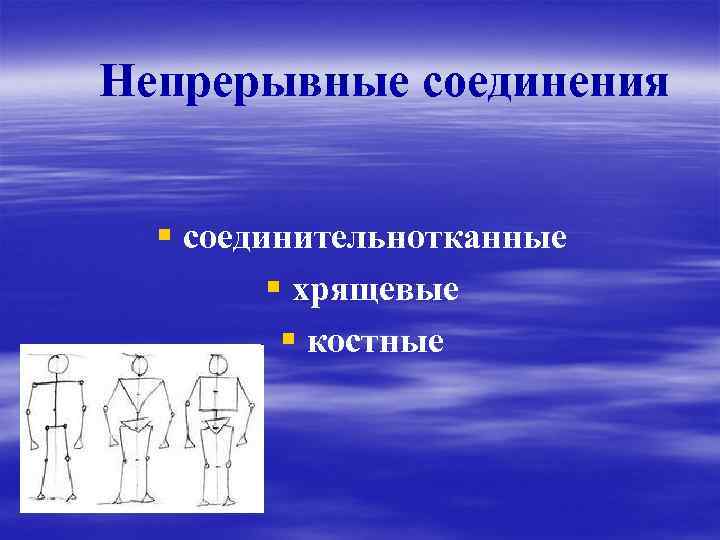 Непрерывные соединения § соединительнотканные § хрящевые § костные 