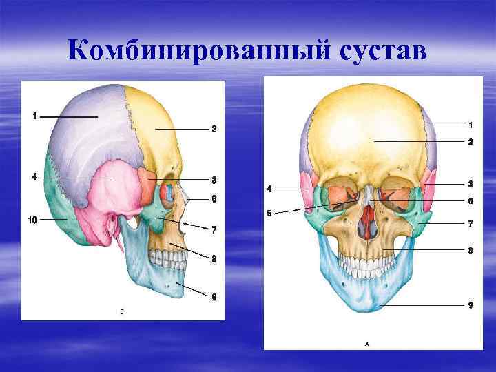 Комбинированный сустав 