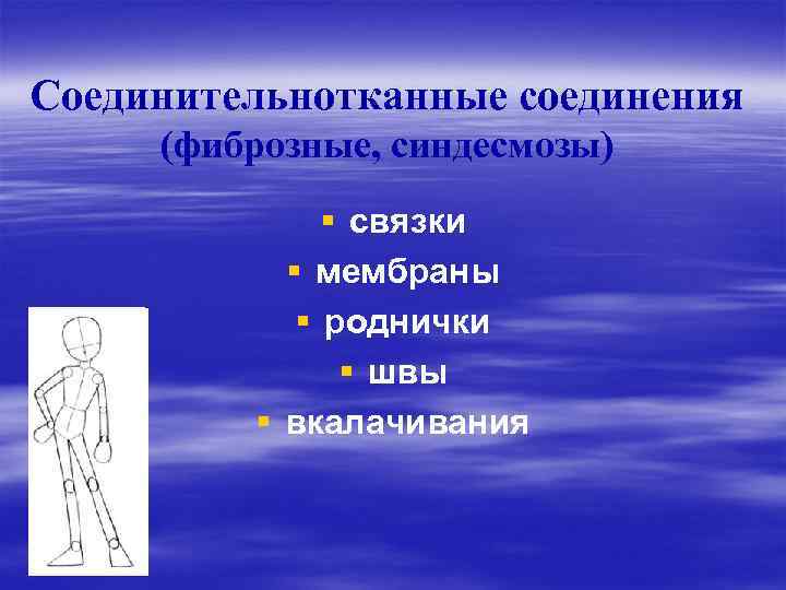Соединительнотканные соединения (фиброзные, синдесмозы) § связки § мембраны § роднички § швы § вкалачивания