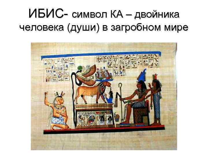 ИБИС- символ КА – двойника человека (души) в загробном мире 