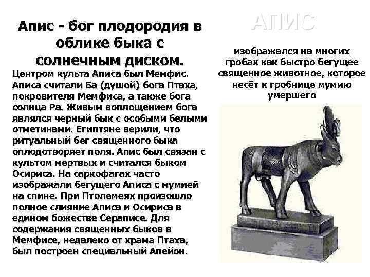Апис - бог плодородия в облике быка с солнечным диском. Центром культа Аписа был
