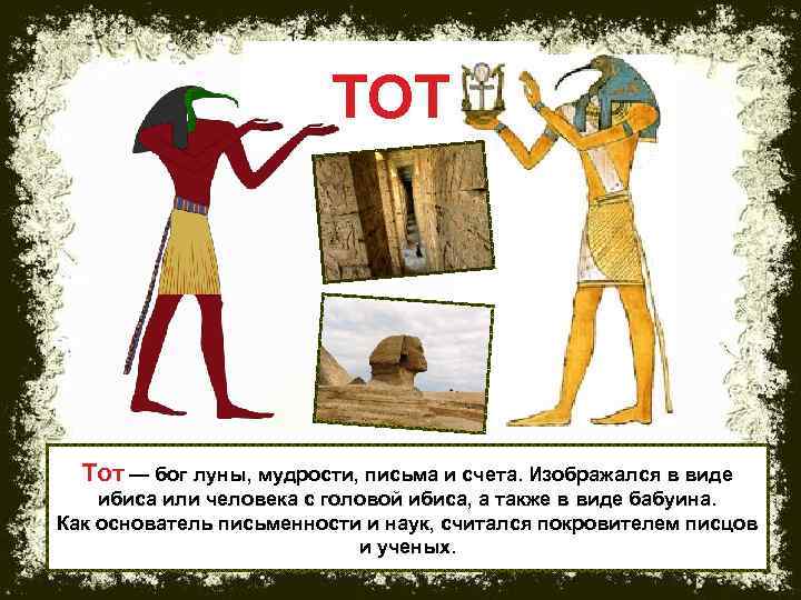 ТОТ Тот — бог луны, мудрости, письма и счета. Изображался в виде ибиса или