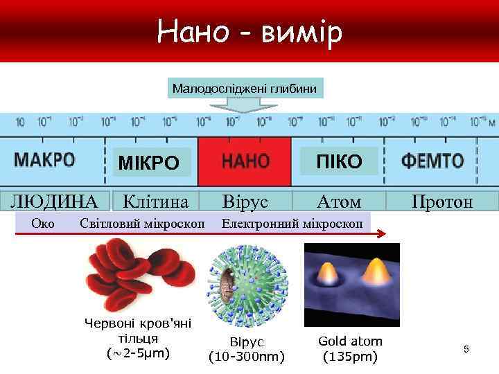 Нано - вимір Малодосліджені глибини ПІКО МІКРО ЛЮДИНА Око Клітина Світловий мікроскоп Червоні кров'яні