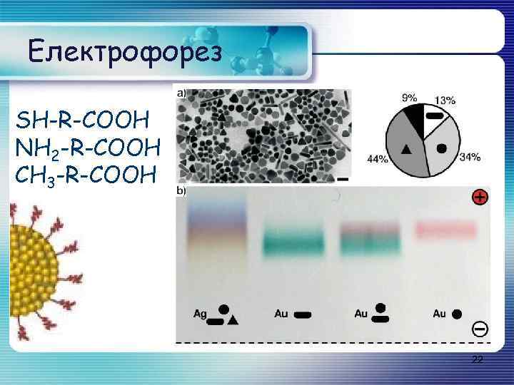 Електрофорез SH-R-COOH NH 2 -R-COOH CH 3 -R-COOH 22 