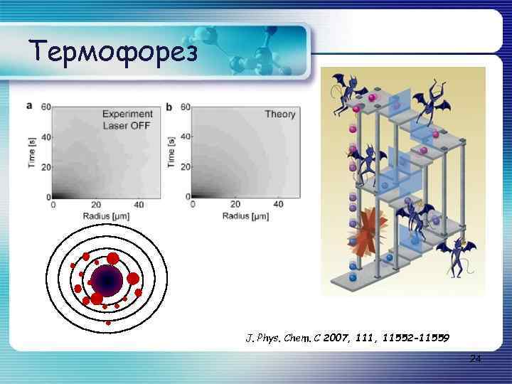 Термофорез J. Phys. Chem. C 2007, 111, 11552 -11559 24 