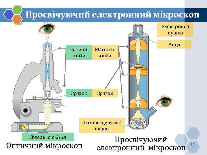 Просвічуючий електронний мікроскоп Електронна пушка Оптичні лінзи Магнітні лінзи Зразок Анод Зразок Люмінесцентний екран