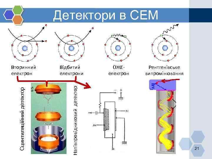 Детектори в СЕМ Відбитий електрони Напівпровідниковий детектор Сцинтиляційний детектор Вторинний електрон ОЖЕелектрон Рентгенівське випромінювання