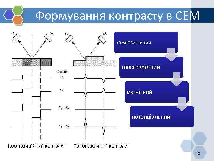 Формування контрасту в СЕМ композиційний топографічний магнітний потенціальний Композиційний контраст Топографічний контраст 23 