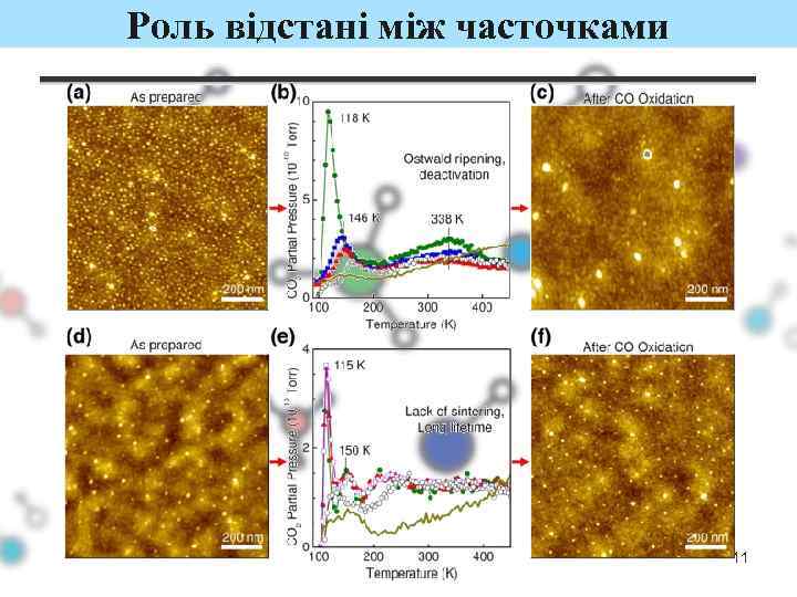 Роль відстані між часточками 11 