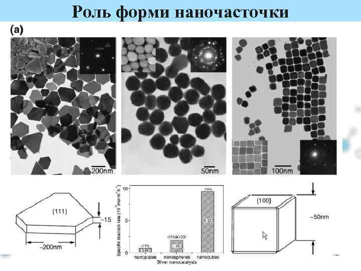 Роль форми наночасточки 12 