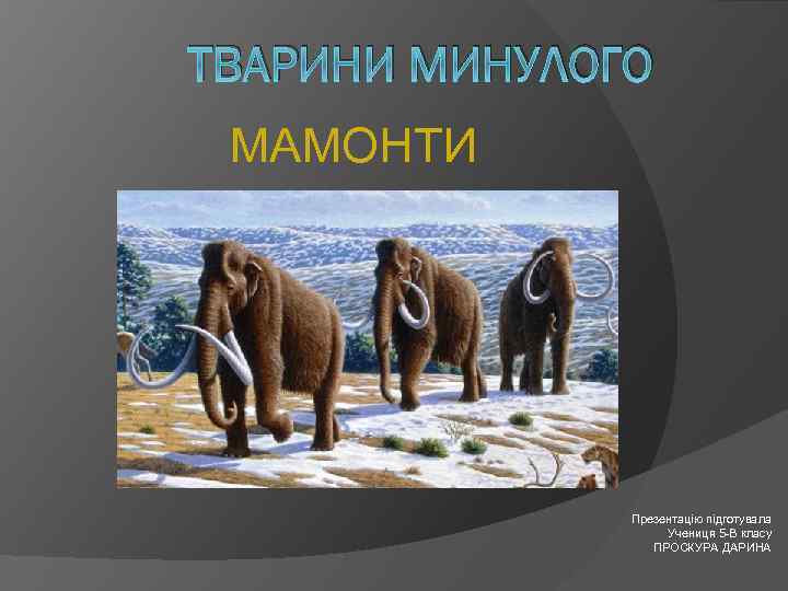 ТВАРИНИ МИНУЛОГО МАМОНТИ Презентацію підготувала Учениця 5 -В класу ПРОСКУРА ДАРИНА 