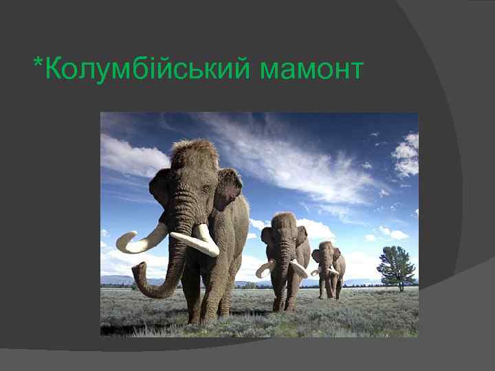 *Колумбійський мамонт 
