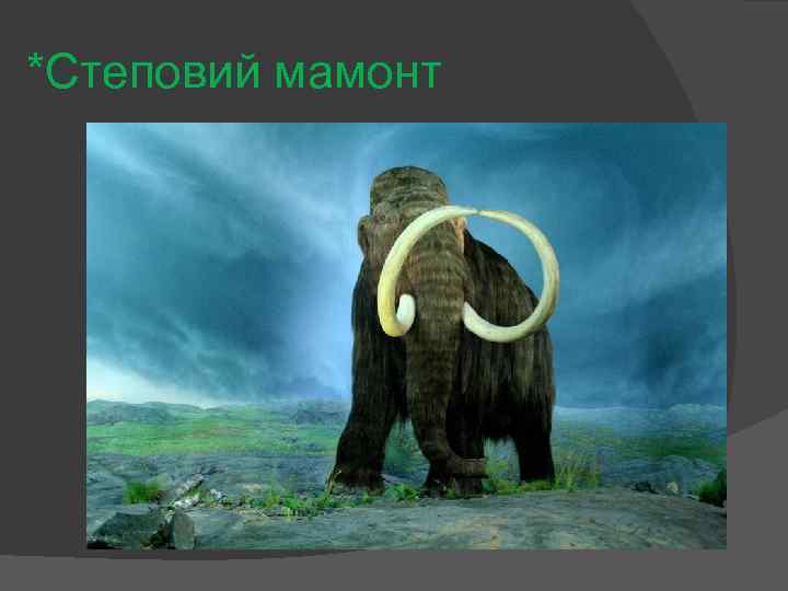 *Степовий мамонт 