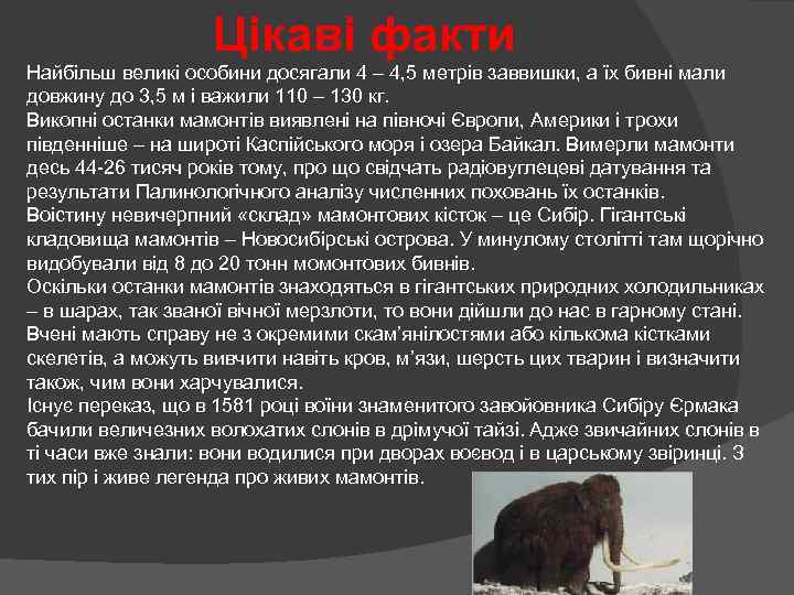 Цікаві факти Найбільш великі особини досягали 4 – 4, 5 метрів заввишки, а їх