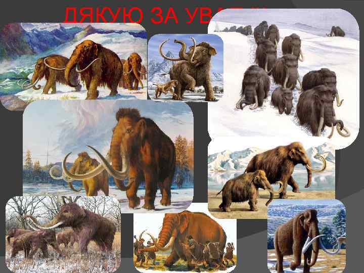 ДЯКУЮ ЗА УВАГУ!! 