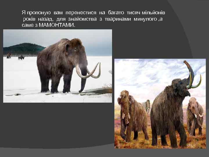 Я пропоную вам перенестися на багато тисяч мільйонів років назад, для знайомства з тваринами