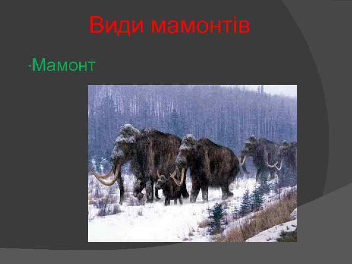 Види мамонтів * Мамонт 