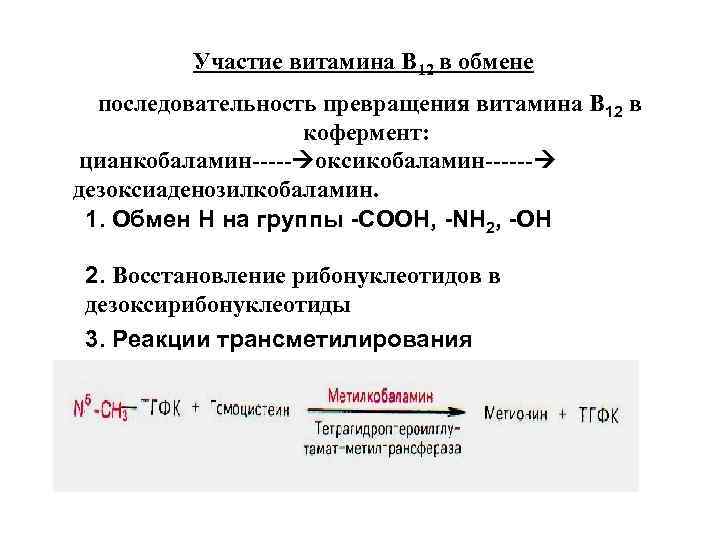 Участие витамина В 12 в обмене последовательность превращения витамина В 12 в кофермент: цианкобаламин-----