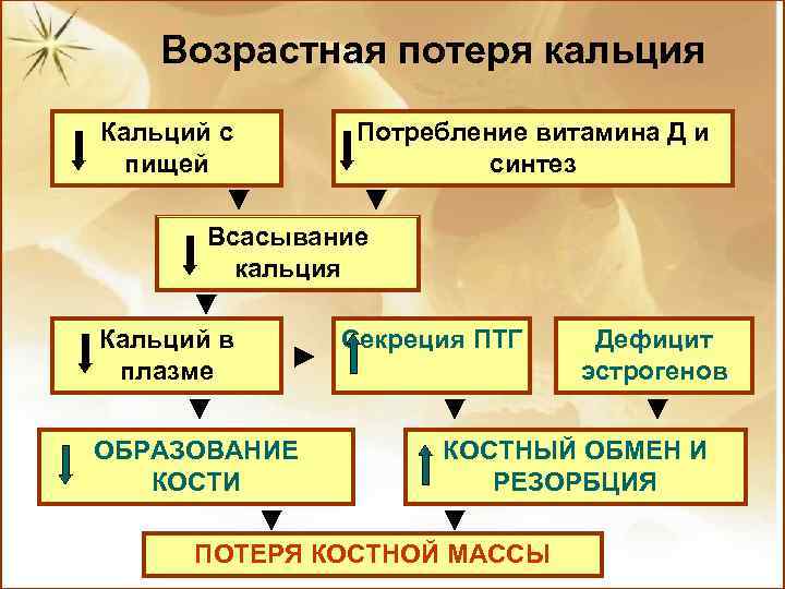 Возрастная потеря кальция Кальций с пищей Потребление витамина Д и синтез Всасывание кальция Кальций