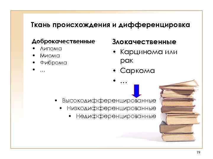 Ткань происхождения и дифференцировка Доброкачественные • • Липома Миома Фиброма … Злокачественные • Карцинома