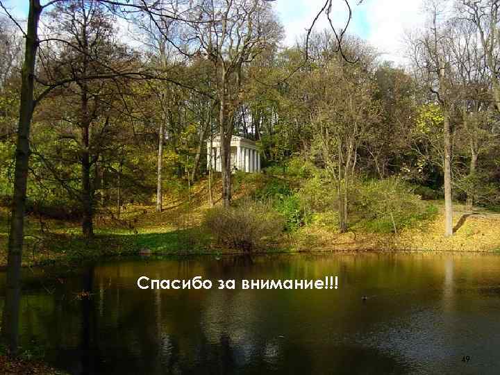 Спасибо за внимание!!! 49 