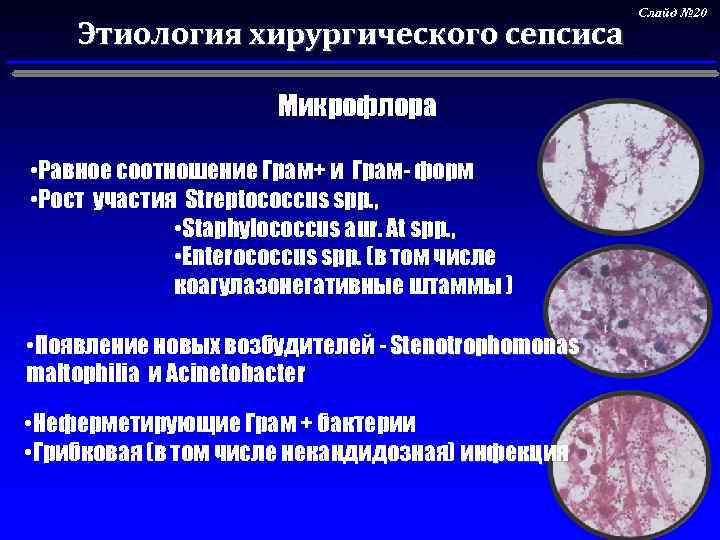 Этиология хирургического сепсиса Микрофлора • Равное соотношение Грам+ и Грам- форм • Рост участия