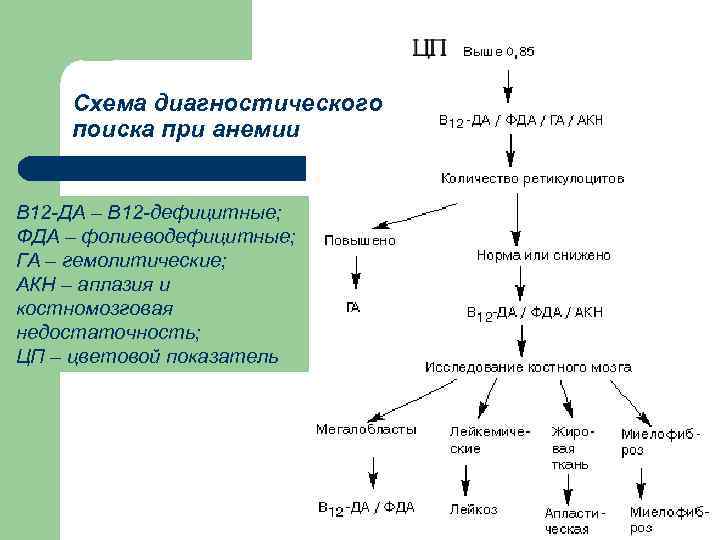 Схема диагностического поиска при анемии В 12 -ДА – В 12 -дефицитные; ФДА –