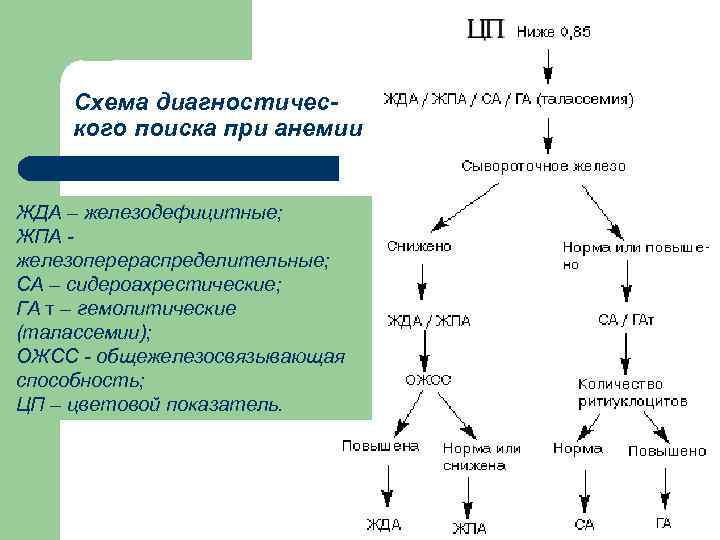 Схема диагностического поиска при анемии ЖДА – железодефицитные; ЖПА железоперераспределительные; СА – сидероахрестические; ГА
