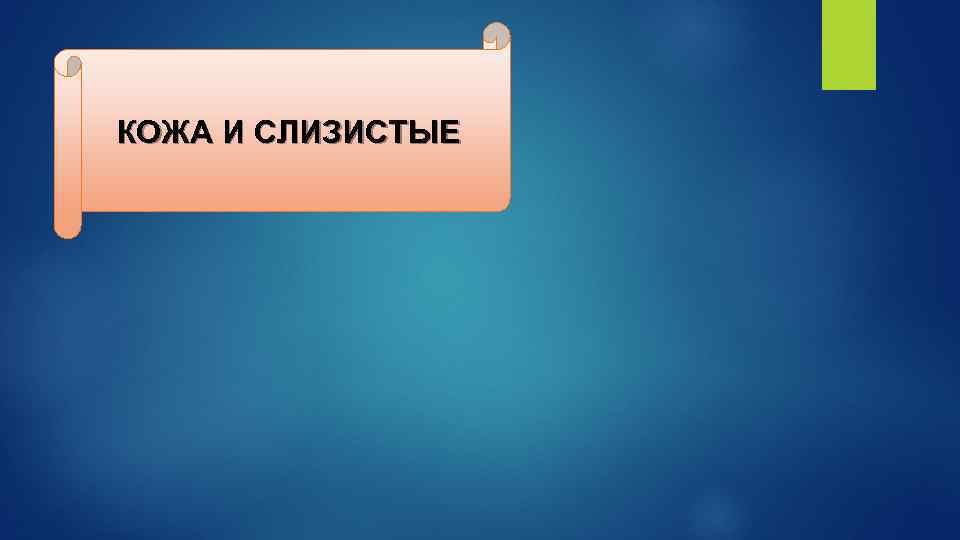 КОЖА И СЛИЗИСТЫЕ 